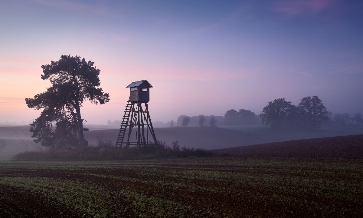 Prijs van de huur van jachtgrond per hectare